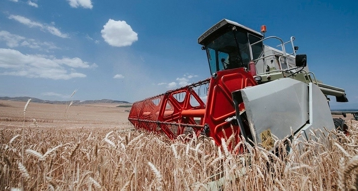Как повысить конкурентоспособность аграрного сектора Азербайджана?