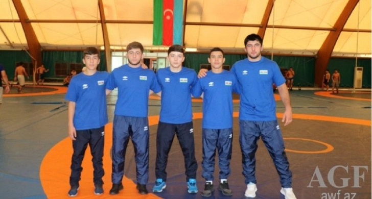 Азербайджанские борцы одержали победу над соперниками из Армении