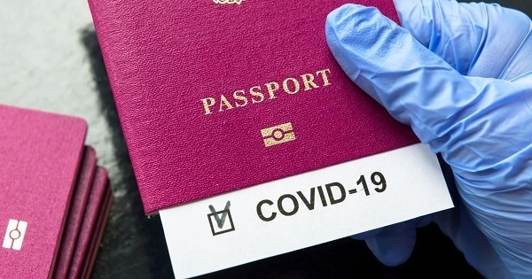 Турция и Япония согласовали признание COVID-паспортов