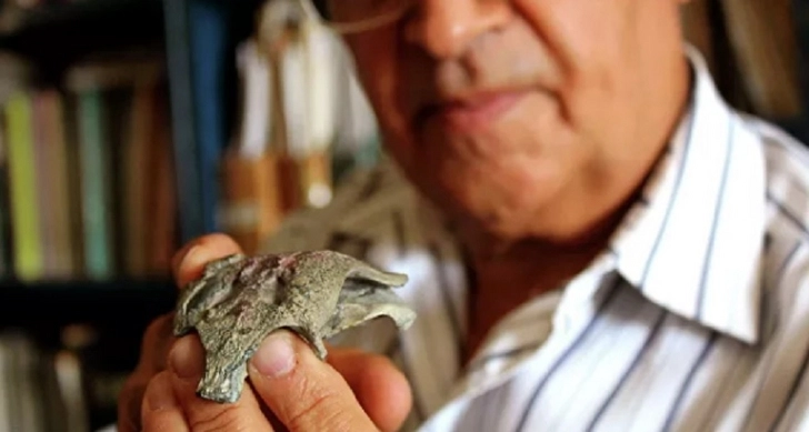 Ученые нашли останки предка нынешних крокодилов