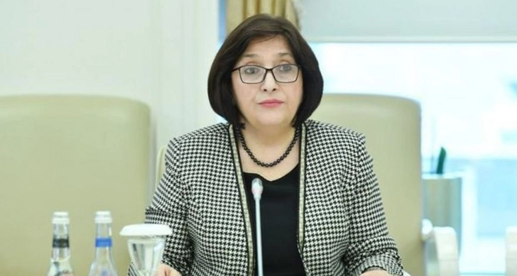 Председатель Милли Меджлиса Азербайджана встретилась с докладчиком ПАСЕ