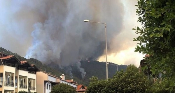 В Турции локализовали 70 из 81 очага возгорания лесных пожаров