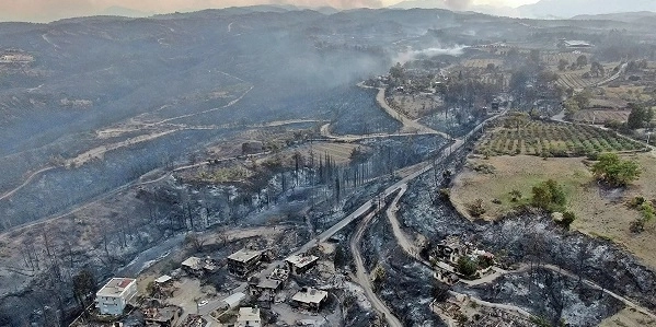 Эрдоган назвал возможную причину лесных пожаров в Турции