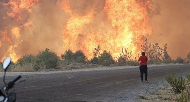 Связанная с PKK организация взяла на себя ответственность за поджог лесов в Турции