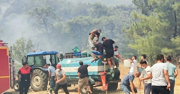 В Турции прокомментировали сообщения о причастности РПК к поджогам лесов