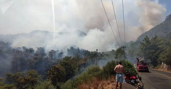 Бекир Пакдемирли: Ущерб 78 населенным пунктам в пяти провинциях нанесен из-за лесных пожаров на юге Турции