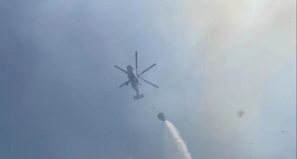 В Лянкяране потушен лесной пожар