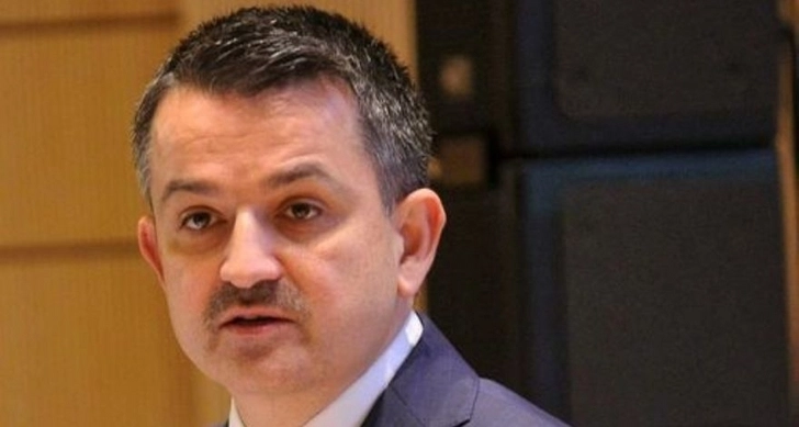 Турецкий министр выразил благодарность Азербайджану