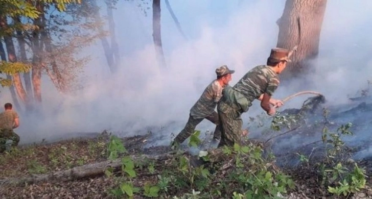 МЧС Азербайджана: В Ярдымлинском районе продолжается операция по тушению пожара в лесополосе - ФОТО
