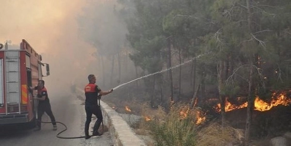 В Турции локализованы лесные пожары