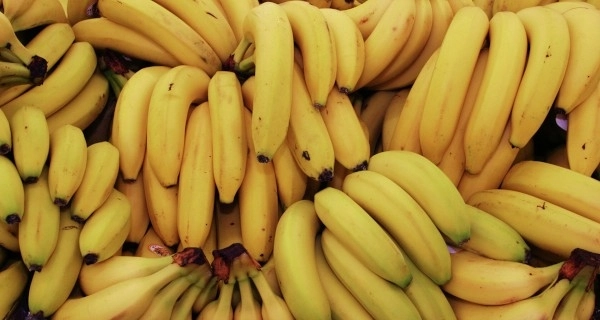 В партии бананов во французском порту нашли 400 кг кокаина