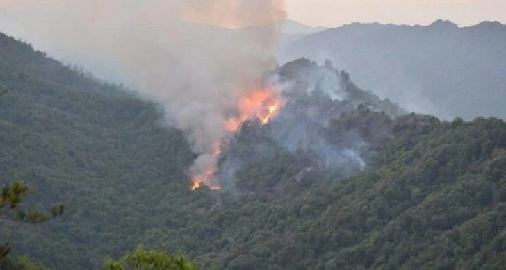 В горной местности вблизи села Биджо Агсуинского района Азербайджана вспыхнул пожар