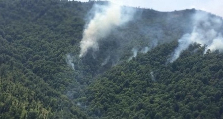 В Габале потушен пожар в горной местности со сложным рельефом