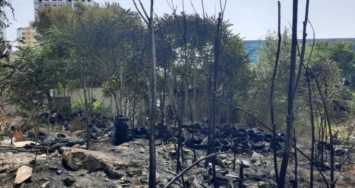 В Баку пожар привел к уничтожению деревьев