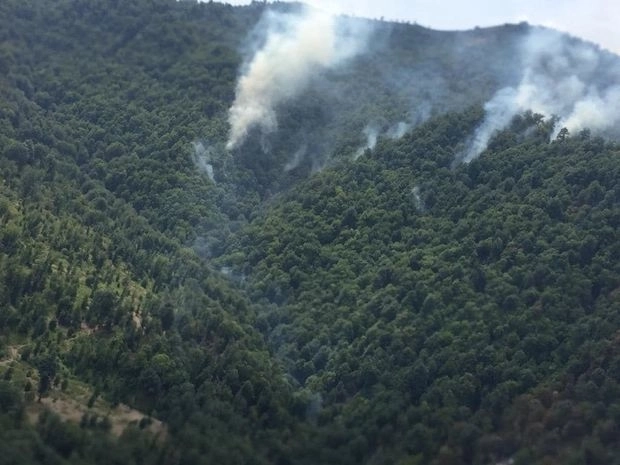 В Лерике вспыхнул пожар в лесистой местности
