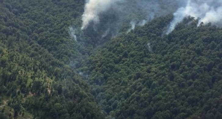 В Лерике потушен пожар в горной местности