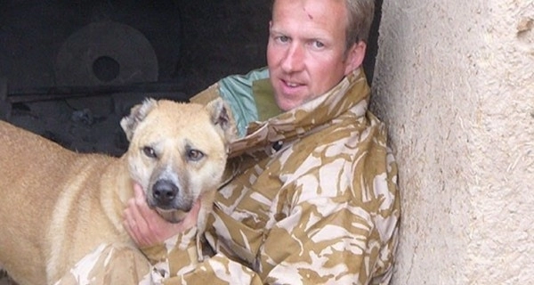 Британский морпех пытается вывезти из Афганистана 200 собак и кошек