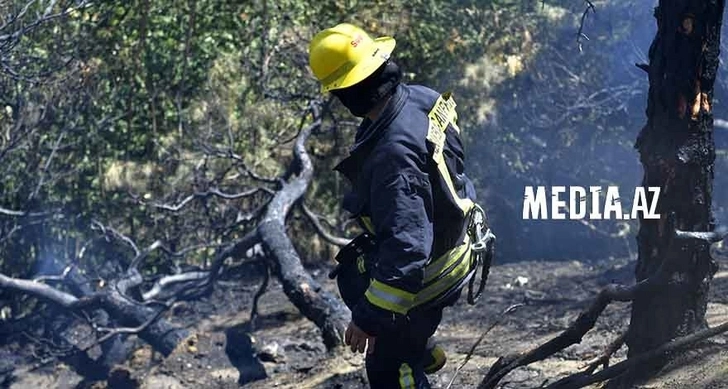 Пожар в горной местности в Исмайыллы локализован - ВИДЕО