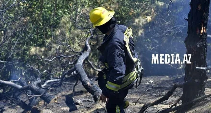 Пожар в горной местности в Исмайыллы потушен