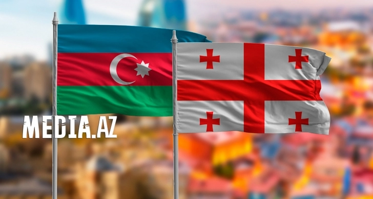 Спикеры парламентов Азербайджана и Грузии проведут встречу в Австрии