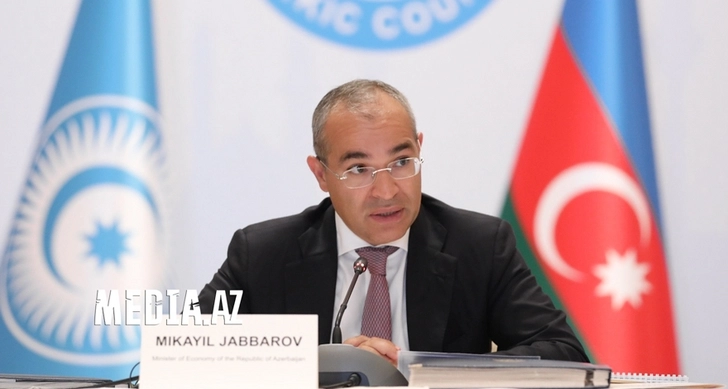 Микаил Джаббаров: Правительство Азербайджана выделило 2,5 млрд долларов на борьбу с пандемией