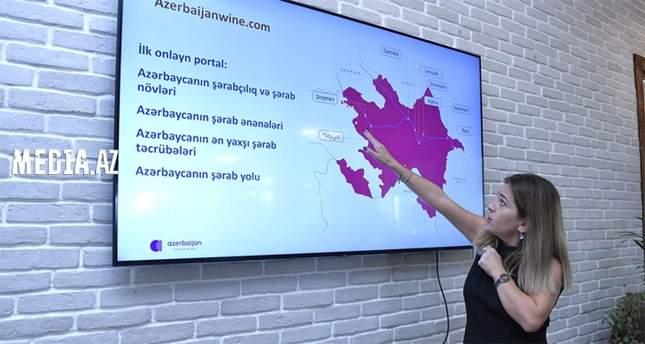 Шарифа Гасанова: В Азербайджане по туристическим маршрутам действуют более 25 винных заводов