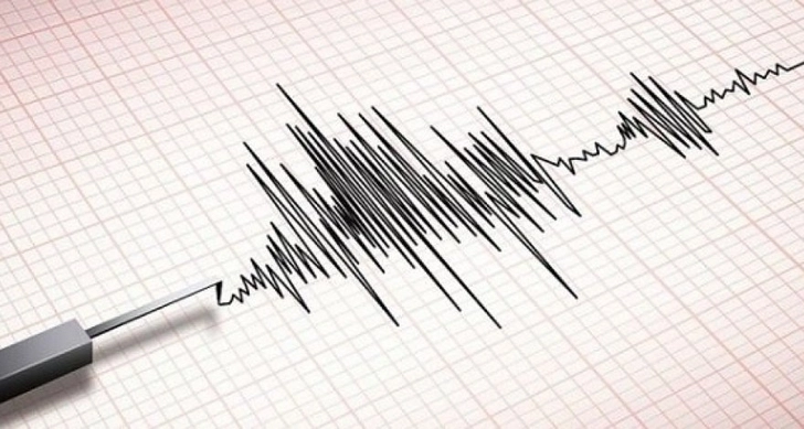 В Польше произошло землетрясение магнитудой 4,6 балла