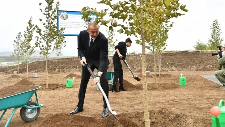 Президент и Первый вице-президент посадили деревья в Центральном городском парке в Физули - ФОТО