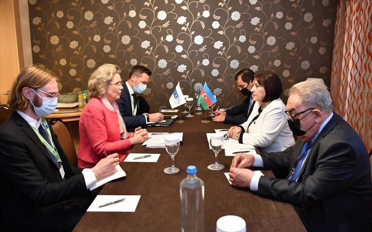 Председатель ПА ОБСЕ: Мы придаем большое значение сотрудничеству с Азербайджаном - ФОТО