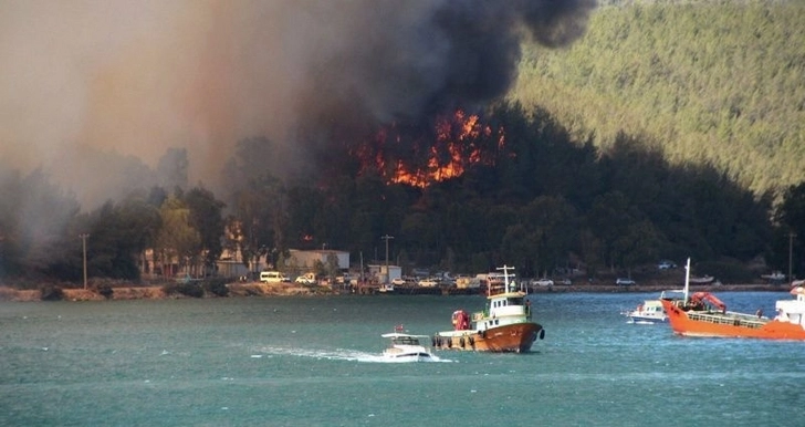 В Турции по подозрению в поджоге леса задержаны семь российских туристов