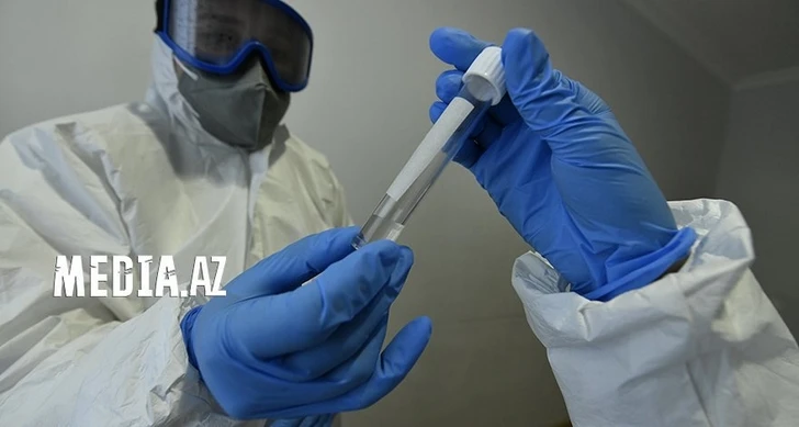В Азербайджане за сутки выявлено 2 440 случаев заражения коронавирусом - ФОТО