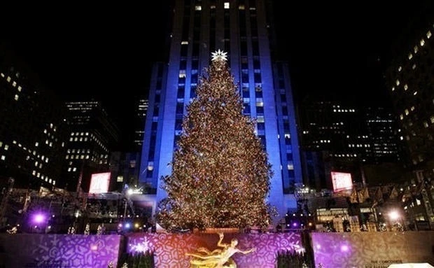 В Нью-Йорк привезли 24-метровую рождественскую ель - ВИДЕО