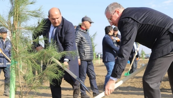 Спецпредставитель Президента принял участие в акции по посадке деревьев в Агдаме - ФОТО
