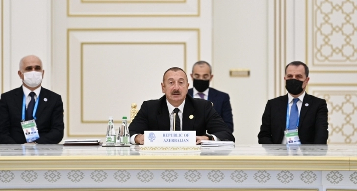 Президент Азербайджана выступил на XV Саммите Организации экономического сотрудничества - ФОТО