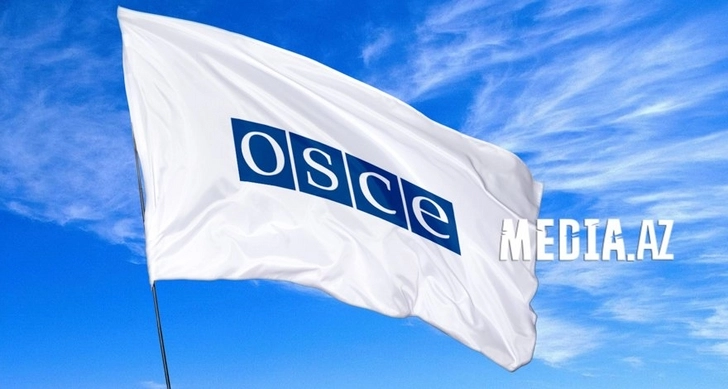 Финляндию выбрали председателем ОБСЕ на 2025 год