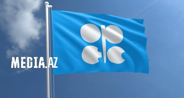 Азербайджан поддержал решение ОПЕК+ по увеличению добычи нефти - ФОТО