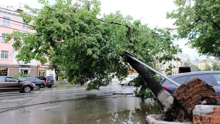 В сети появились кадры мощного урагана в Ставрополе - ВИДЕО