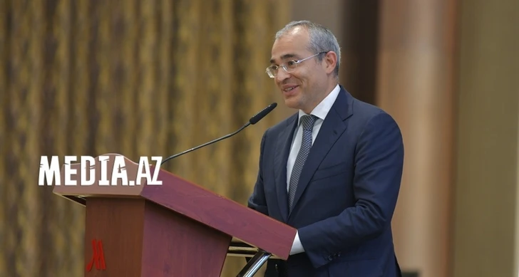 Министр: В Азербайджане выросли поступления по обязательному государственному соцстрахованию - ФОТО