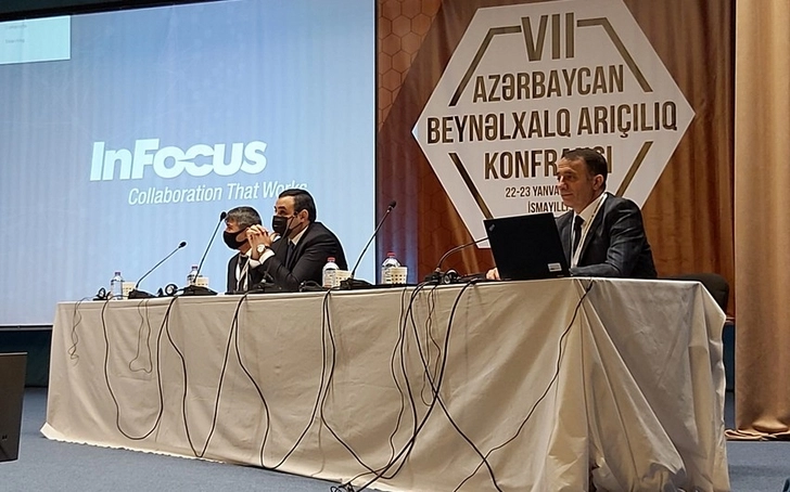 В Исмайыллы проходит VII Азербайджанская международная конференция по пчеловодству - ФОТО