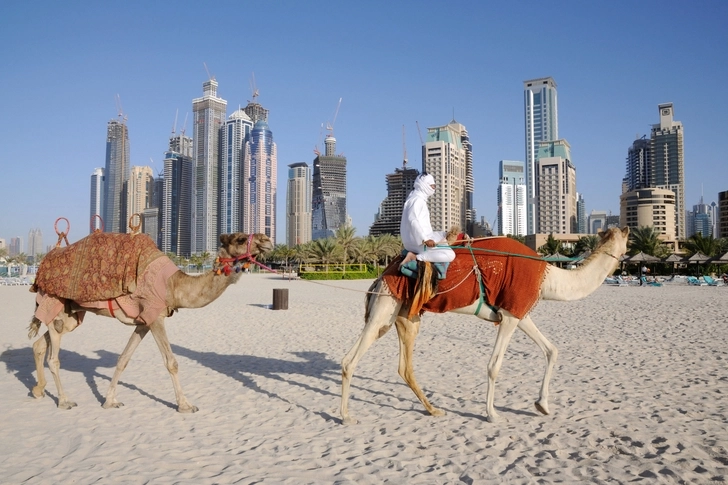 Власти ОАЭ решили поэтапно отменить антиковидные ограничения