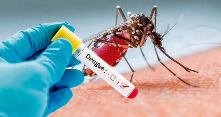 В Республике Фиджи зафиксировано более 200 случаев заражения лихорадкой денге