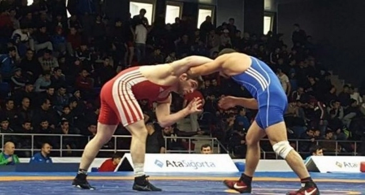 Азербайджанские борцы завоевали три медали на турнире в Стамбуле