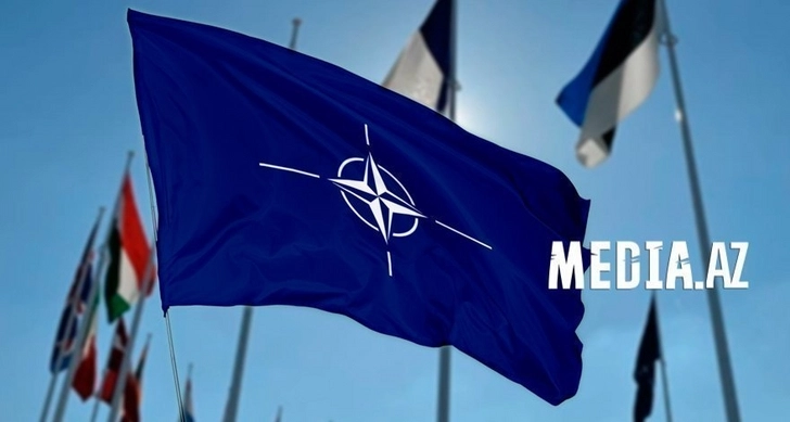 НАТО привела силы быстрого реагирования в боевую готовность - ФОТО