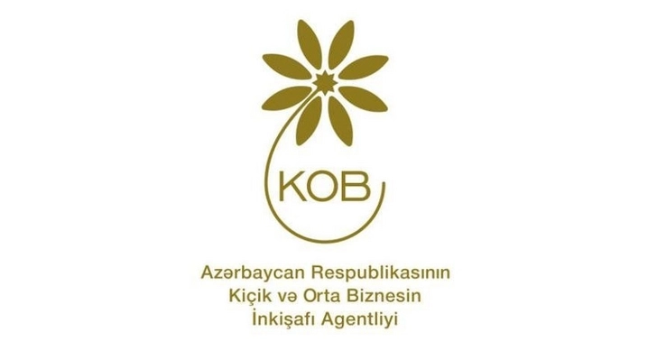 KOBİA: В этом году предпринимателям в домах бизнеса оказано почти 12 000 услуг