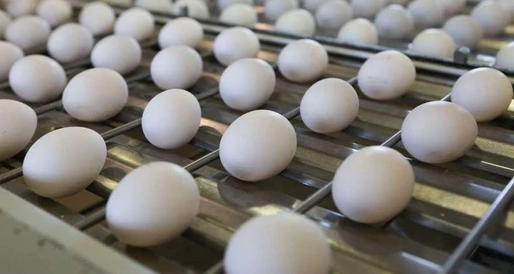 Россельхознадзор снял ограничения на поставку яиц из Турции