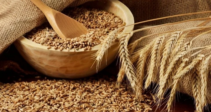 Россия снизила экспорт пшеницы почти на треть