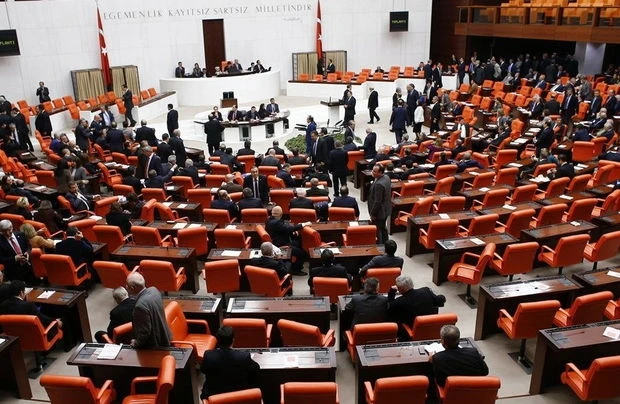 Парламент Турции одобрил проведение досрочных выборов