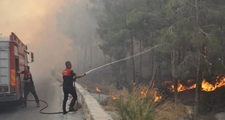 Вблизи турецкого Бодрума начался лесной пожар