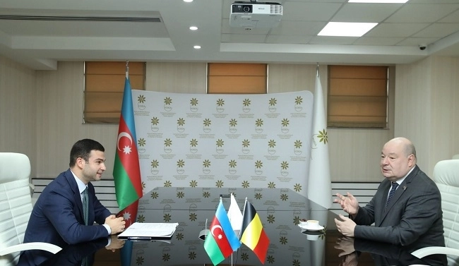 Азербайджан и Бельгия обсудили потенциальные направления сотрудничества в сфере МСБ