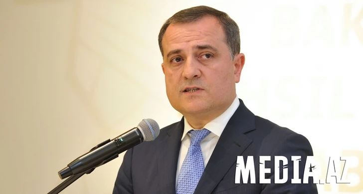 Глава МИД: Периодически возникают вопросы в связи с деятельностью миротворцев в Карабахе